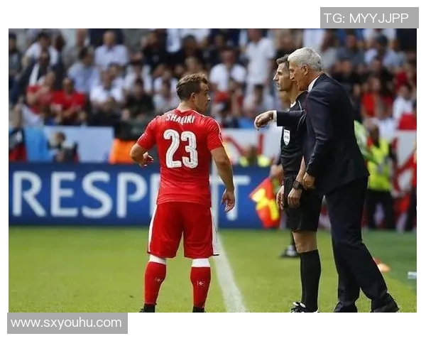 格鲁吉亚对瑞士足球赛前瞻与胜负预测分析