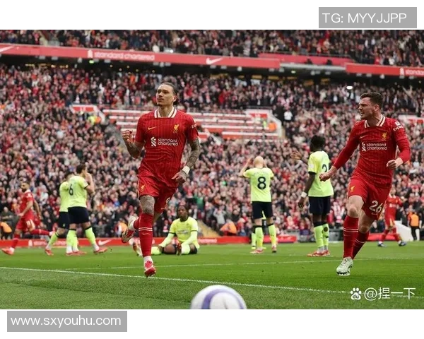 努涅斯在足球赛场上的崛起与挑战探讨