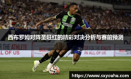 西布罗姆对阵圣旺红的精彩对决分析与赛前预测